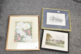 Maggie Tomlins (20th century) watercolour on paper, a floral scene possibly clematis, signed to