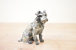 A late 19th to early 20th-century Austrian bronze cold-painted Schnauzer figurine, in a seated