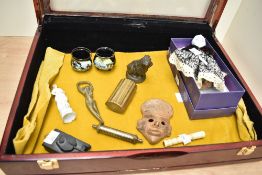 A 19th/20th-century curiosity cabinet-style hinged lid box, featuring a selection of sundry '