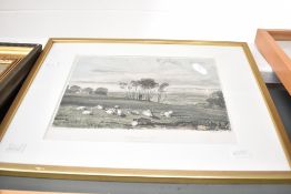*Local Interest* A collection of three 19th Century colourised etchings, the first depicting a