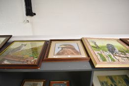 R Nelson (British Contemporary) Oil on board, a study of a great grey owl perched on a fence, signed