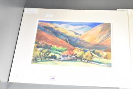 *Local Interest* After Barbara McMillan (British Contemporary) Giclee print 'Swaledale Evening'