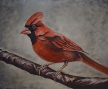 Wayne Catterall (British Contemporary) Oil on canvas, a study of a Northern Cardinal perched on a