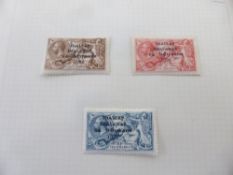 IRELAND/ EIRE 1922-1959 MINT AND USED COLLECTION ON APX 40 PAGES OF LEAVES Lovely Irish collection