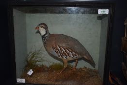 A cased Taxidermy study of a red legged Partridge in natural surroundings measuring 41cm x 35cm