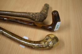 Three short walking canes measuring 85-92cm long made from hazel and blackthorn