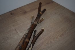 Three rustic thumb sticks measuring 105cm , 115cm and 124cm long all with a rubber cap to base