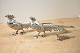 A group of three 20th century silver plated Pheasants studies, largest measures 26cm long, condition