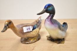 Two Royal Doulton bone china bird studies comprising 'Drake' model number 187 and 'Duck' model