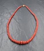 A string of red coral beads, of graduated form having a 800. grade metal clasp, the beads