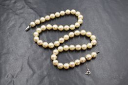 A single row of Ciro pearls, of round even form having a cream lustre, with a white metal box clasp,