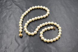 A 16' string of cultured pearls of even form with yellow metal ball and tongue clasp stamped 585