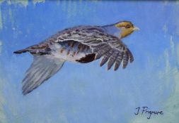 Justin Prigmore (British Contemporary) Oil on board, a study of a grey partridge in flight, signed