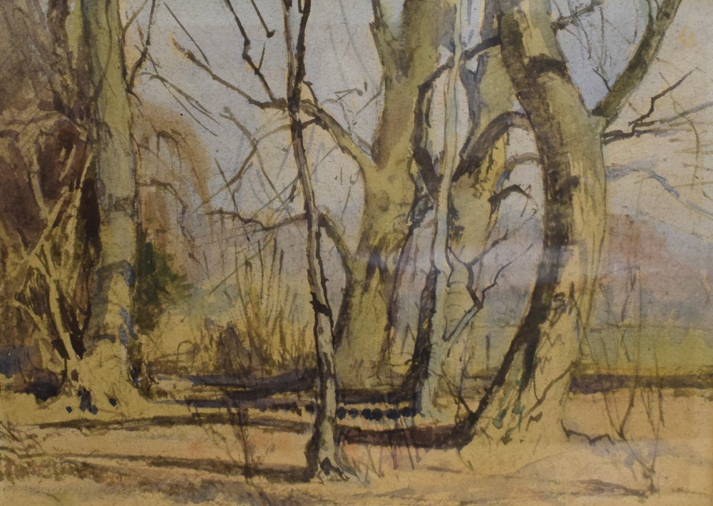 *Local Interest* William Dodd (British 1908 - 1981) Watercolour 'Trees by the Lakeside Coniston -