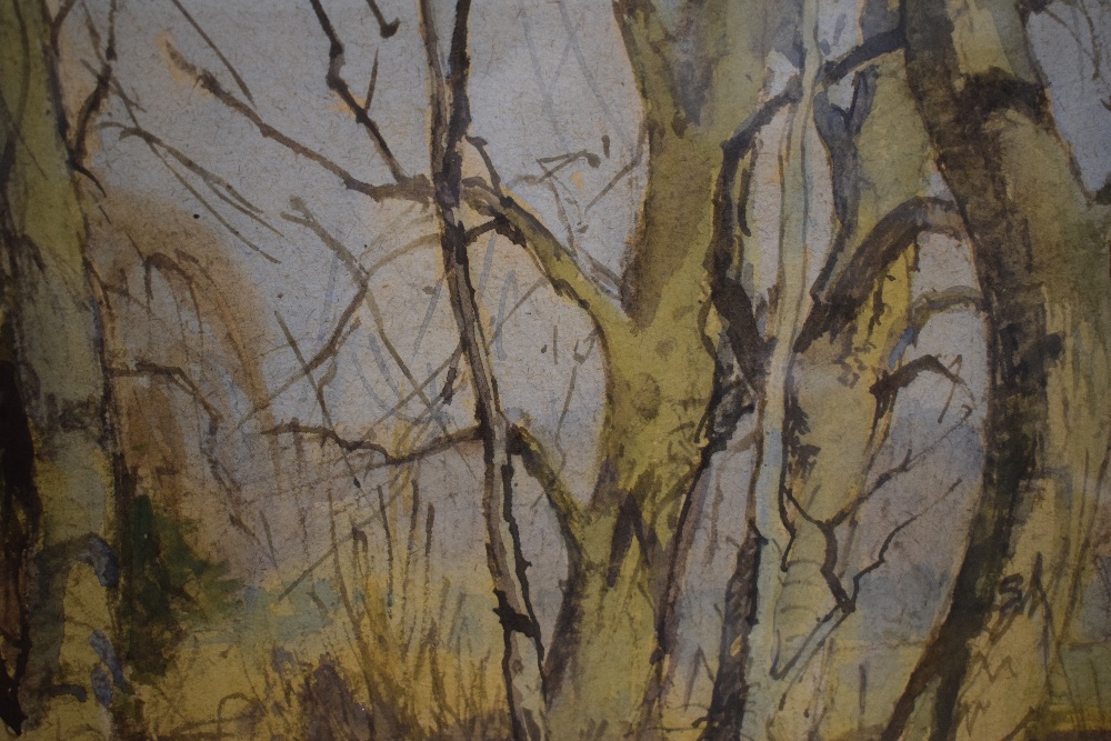*Local Interest* William Dodd (British 1908 - 1981) Watercolour 'Trees by the Lakeside Coniston - - Image 3 of 5