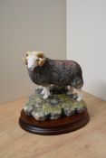 A limited edition Border Fine Arts animal study 'Herdwick Tup' model number B0705, designed by Ray