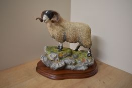 A limited edition Border Fine Arts 'Blackie Tup' study model number B0354, designed by Ray Ayres,