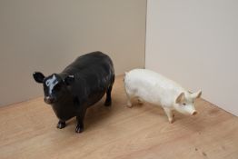 A Beswick Pottery Aberdeen Angus Cow study, model number 1563, designed by Arthur Gredington in