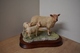 A limited edition Border Fine Arts animal group 'Charolllais Ewe & Lambs' model number L121,