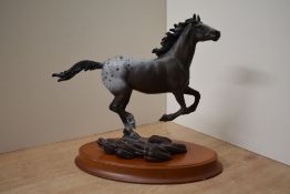 A Franklin Mint bronze horse study 'Appaloosa Thunder on the Prairie' designed by Chuck Deehan,