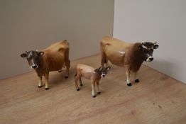 A Beswick Pottery Jersey cattle family comprising Jersey Bull CH. 'Dunsley Coy Boy' model number