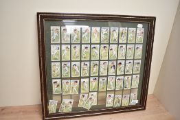 CIGARETTE CARDS 1926 PLAYERS CRICKETERS, CARICATURES BY 'RIP' FULL SET OF 50 FRAMED Cricketers issue
