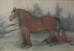 A late 19th Century watercolour study of a horse and foal, 'Smiling May, Sire Royal Sandy, Filly