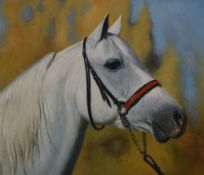 A Contemporary Chinese oil on canvas, an accomplished side profile portrait of a horse, unsigned