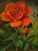 *Local interest* Geoffrey H Pooley (British 1908 - 2006) Oil on board, a still life study of a red