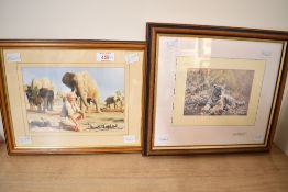 After David Shepherd (British 1931 - 2017) Lithograph 'Teenage Tiger', signed in pencil to mount,