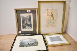 A selection of 20th-century framed prints, to include a sweet short-eared owl; a study of a female