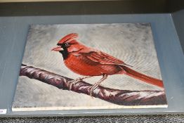 A 20th-century oil painting on canvas after Wayne Catterall, depicting a vibrant red male Northern