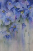 Rachel McNaughton (British Contemporary) watercolour 'Misty Meconopsis' a study of blue flowers,