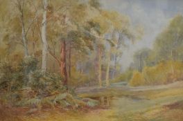 Chas B Dickens (19th Century) Watercolour 'A Woodland Pool', an autumnal woodland study, signed