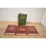 Natural History. Step, Edward - Wayside and Woodland Blossoms. London: Frederick Warne & Co. Ltd.