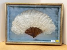A rare intact antique handheld fan in white ostrich feather and simulated tortoiseshell, set on blue