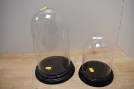 Two contemporary 19th-century-style decorative display domes, having glass domes and black resin