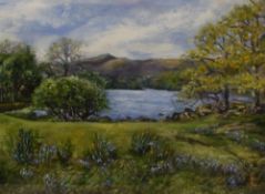 *Local Interest* A Contemporary oil on board, a Springtime Lake District landscape, initialled (