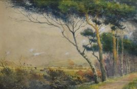 Robert Rampling (British 1836-1909) Watercolour, a tree lined countryside footpath, signed lower