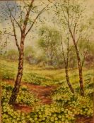 J Hamilton (19th/20th Century) Watercolour 'Primrose Meadow', a blooming springtime woodland, signed