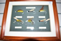 A display of six mounted flies titled 'English Salmon Bait circa 1900 ' framed measuring 36cm x