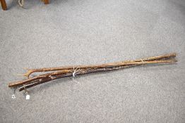 Three thick shafted long walking sticks measuring 138cm, 140cm and 144cm long one has a antler tip