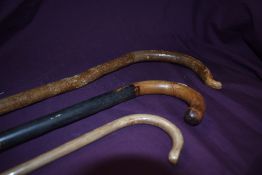 Three wooden walking sticks with bent wood handles measuring 74cm 82cm and 110cm