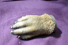 A late Victorian otters foot brooch with EPNS mounting makers mark A&CO