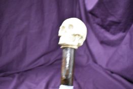 A short walking stick with a skull mounted as the handle Measuring 89cm long
