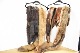 A selection of fox and mink stoles on two hangers