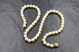 A 16' string of cultured pearls of even form with yellow metal ball and tongue clasp stamped 585
