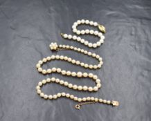 A 19' string of graduated cultured pearls of cream colour, having a pearl set 9ct gold box clasp