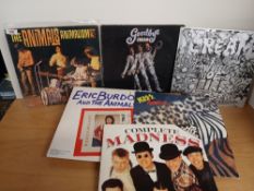 A 12 album mixed lot VG/VG or better - Animals , Madness , Cream and more - as in photos - rock ,