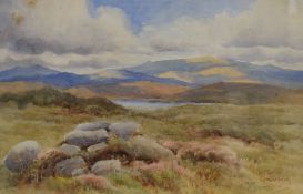 T.A.D Wills? (19th/20th Century) Watercolour, a mountainous landscape, signed and dated (1904) lower